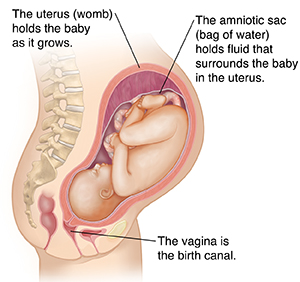 is vaginal gbs strep painful Asian sluts take
