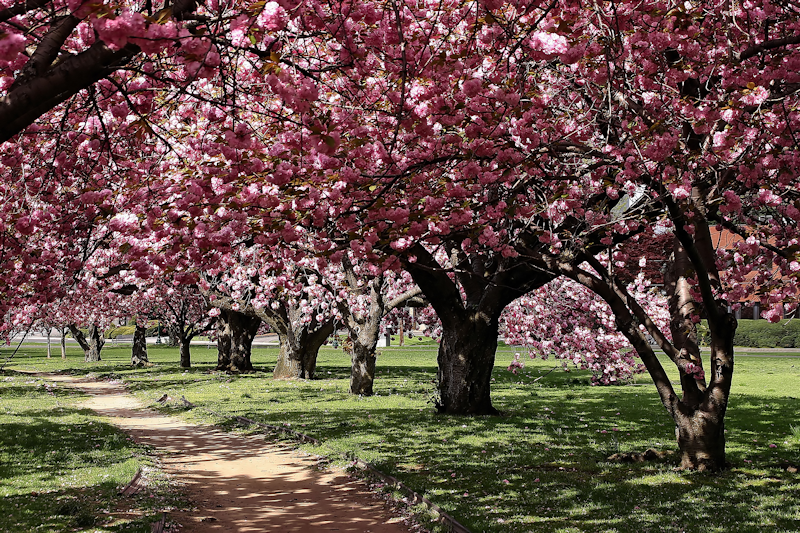 Home Health Care Services in Stamford, Connecticut | Sterling Care
